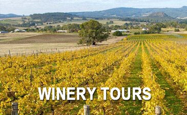 Winery Tour With Relaxed Extended Lunch